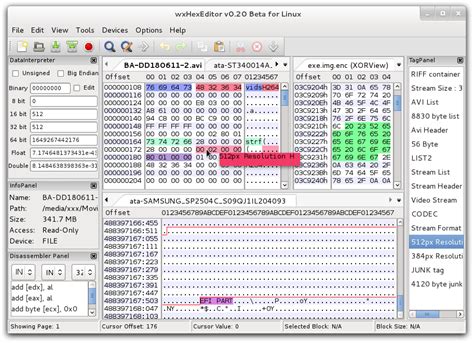 Hex Editor & Disk Editor .